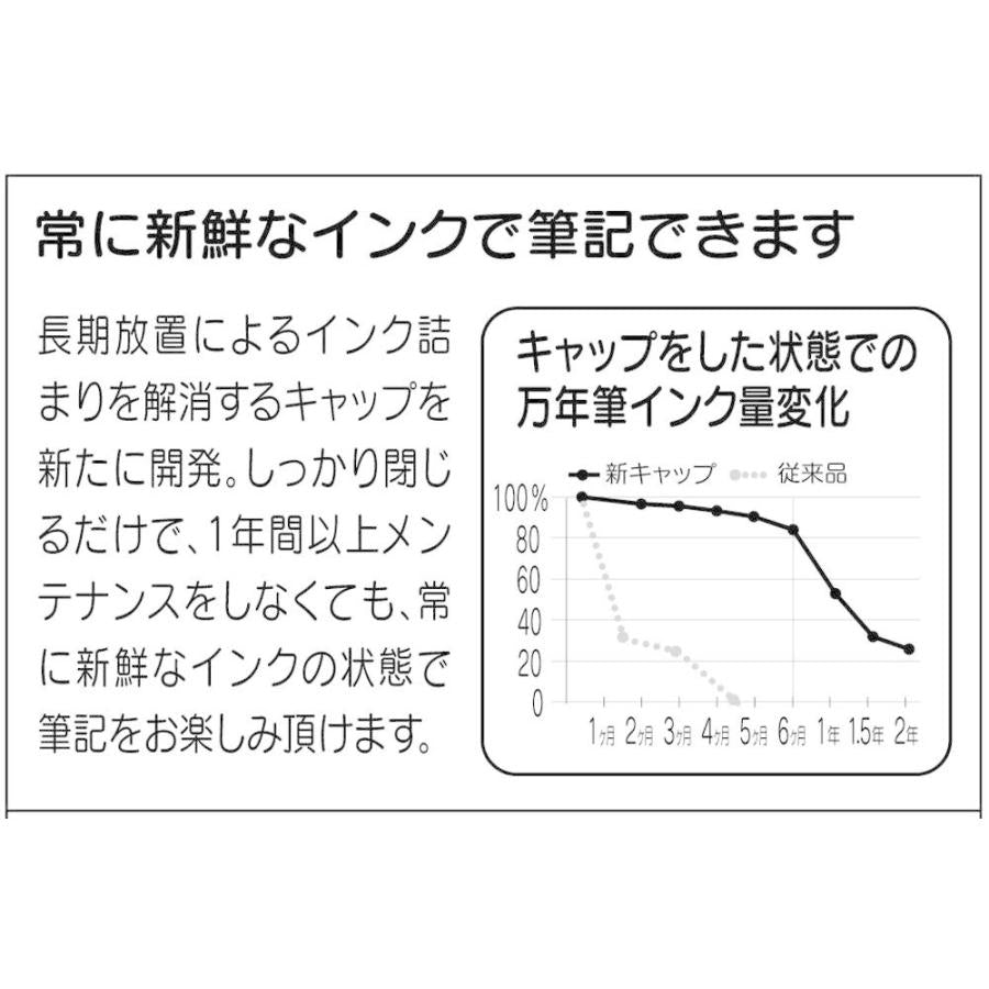 Platinum Fountain Pen Plasir Blue Medium PGB-1000#56-3