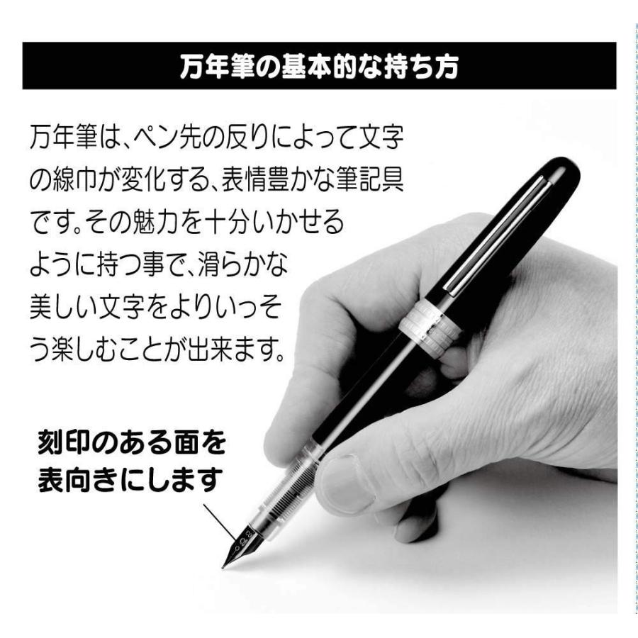 Platinum Fountain Pen Plasir G Pack Ice White Medium PGB-1000B#3-3G