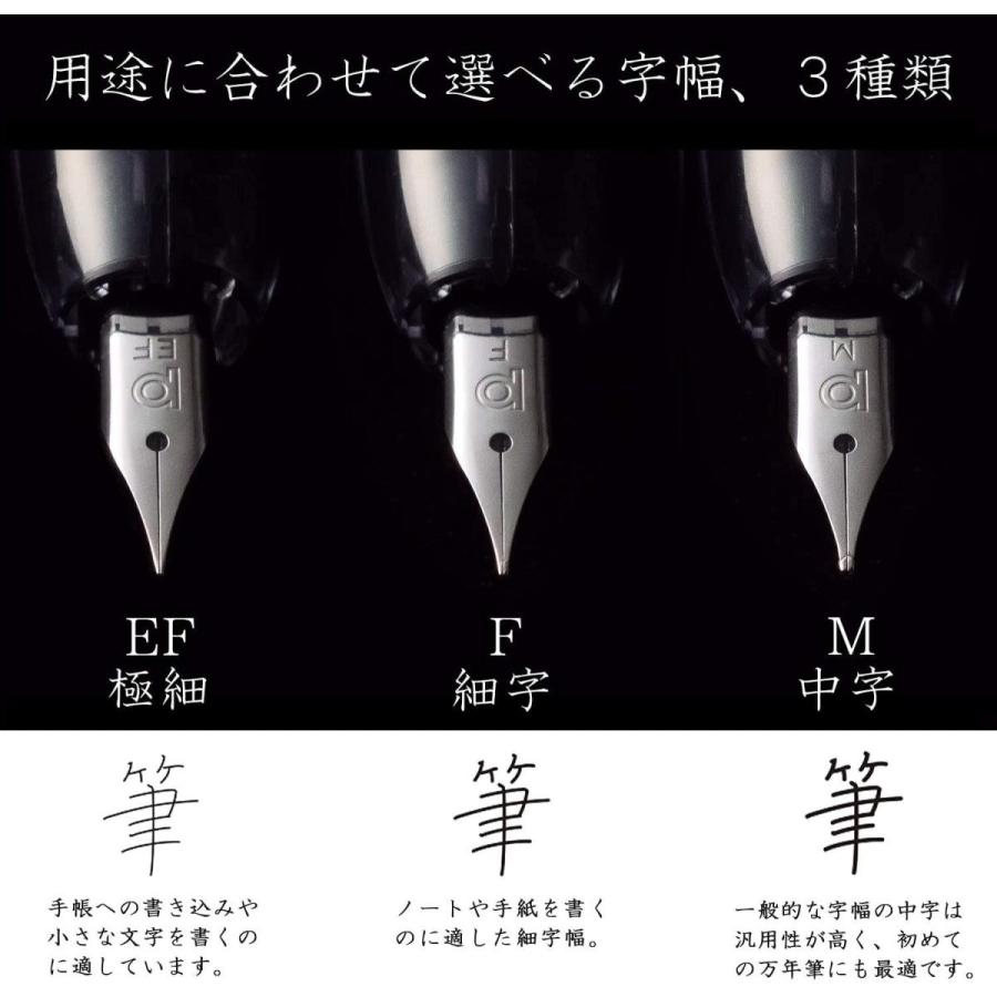 Platinum Fountain Pen Curidas Prism Crystal Fine Point PKN-7000#6-2