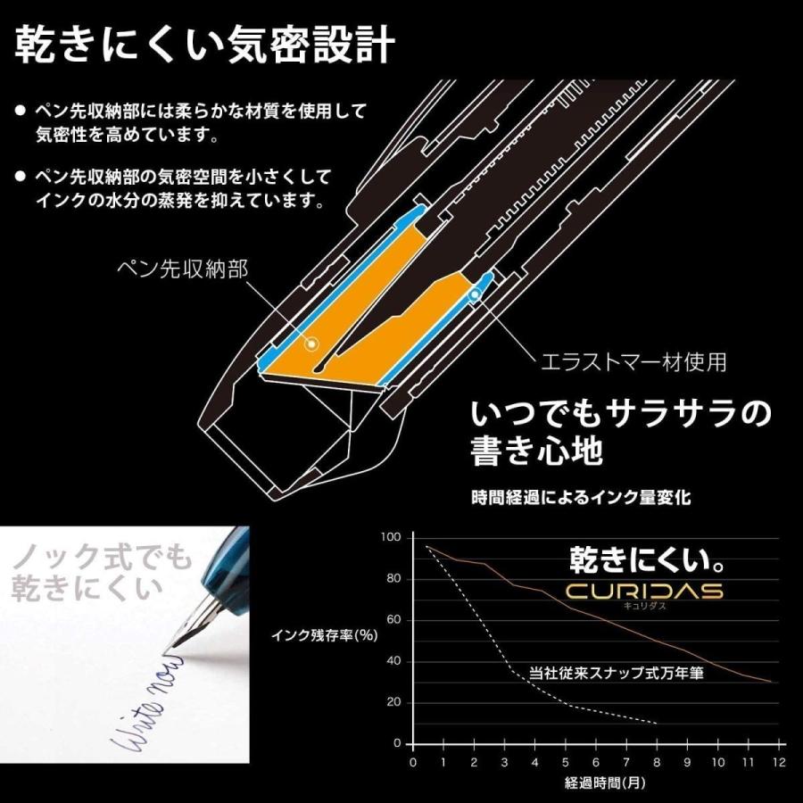 Platinum Fountain Pen Curidas Graphite Smoke Fine Point PKN-7000#7-2