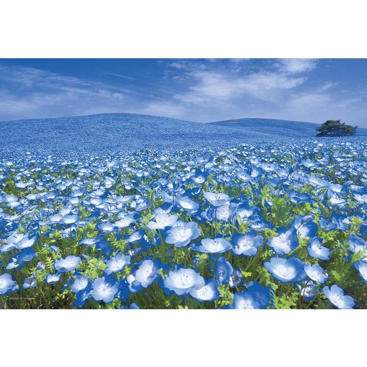 jigsaw-puzzle-sky-linked-hill-ibaraki-300-pieces-yam-03-911-yanoman-1