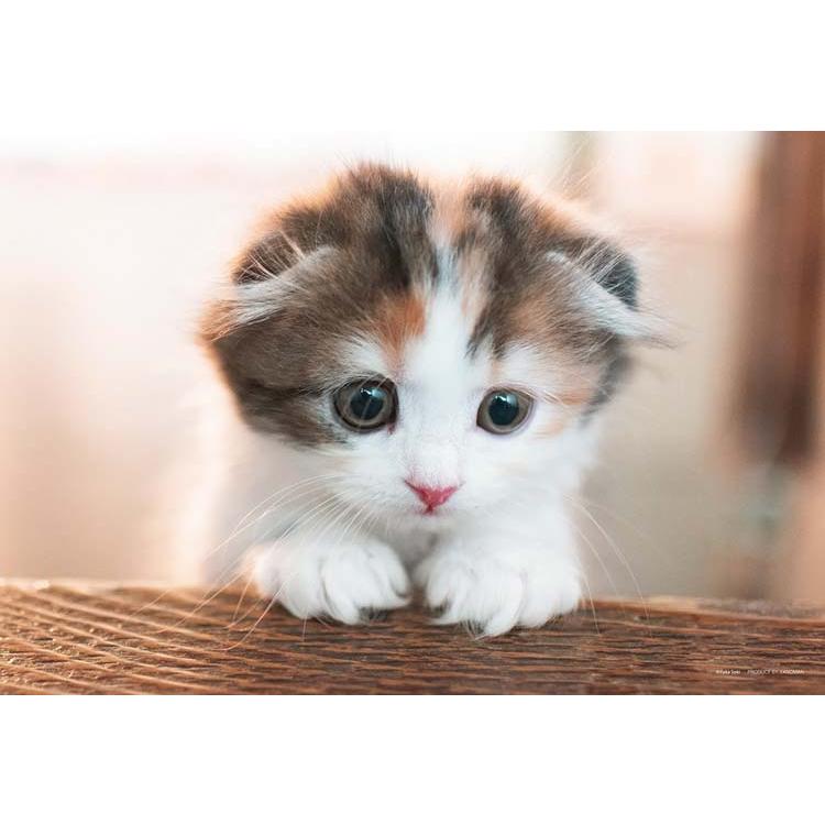 jigsaw-puzzle-this-way-300-pieces-yam-03-941-yanoman-1