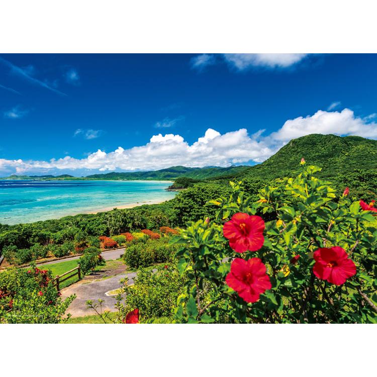 jigsaw-puzzle-sea-and-hibiscus-summer-in-ishigaki-island-okinawa-cp-nt-500-pieces-yam-05-1097-1