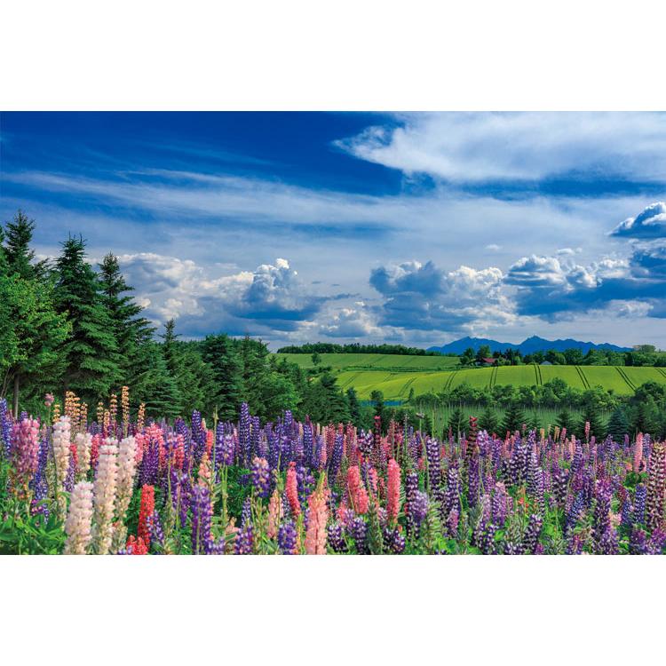 jigsaw-puzzle-early-summer-breezes-in-kamifurano-hokkaido-cp-nt-1000-pieces-yam-10-1466-1