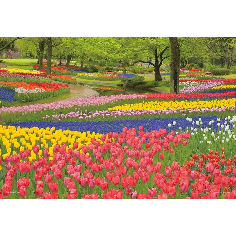 jigsaw-puzzle-blooming-showa-kinen-park-tokyo-108-pieces-yam-01-2090-1