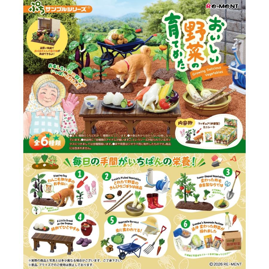 re-ment-petit-sample-how-to-grow-delicious-vegetables-complete-box-set-1