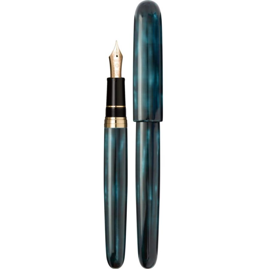 sailor-fountain-pen-pro-fit-casual-silvered-trim-black-extra-fine-point-11-0571-120-1