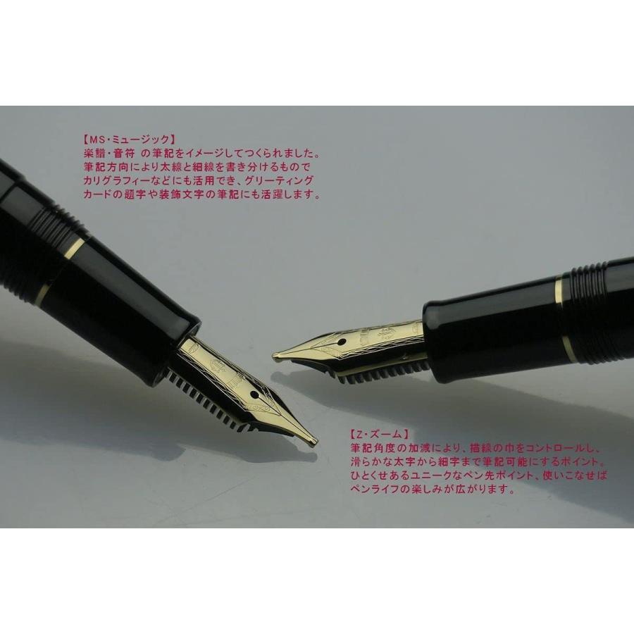 Sailor Fountain Pen Profit Casual Gold Trim Black Zoom (Z) 11-0570-720