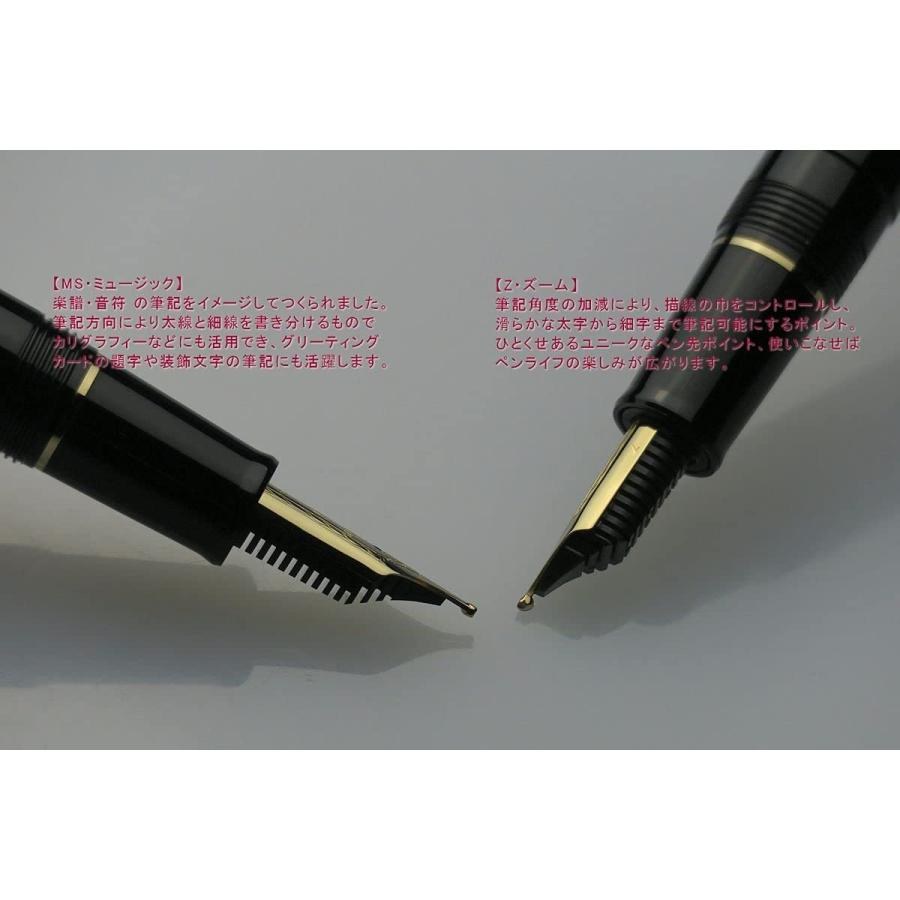 Sailor Fountain Pen Profit Casual Gold Trim Black Zoom (Z) 11-0570-720