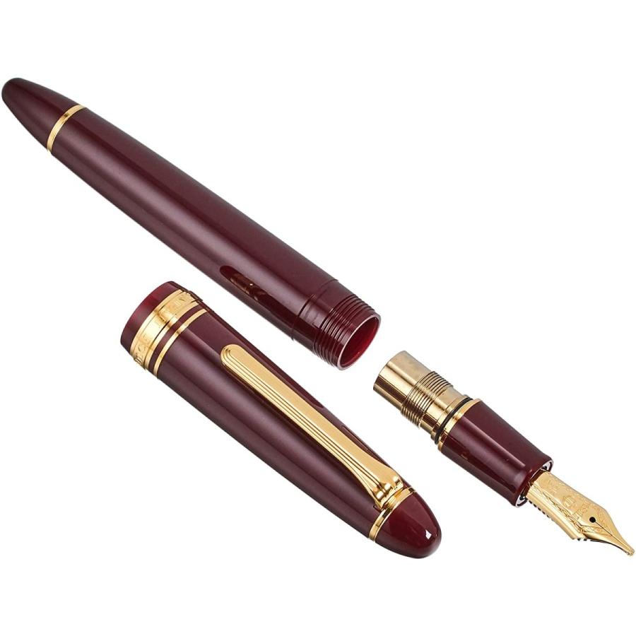 Sailor Fountain Pen Profit 21 Marun Zoom 11-2021-732