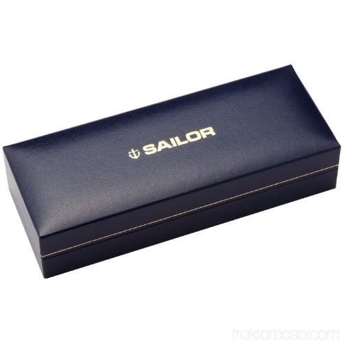 Sailor Fountain Pen Profit 21 Silver Black Extra Fine 11-2024-120