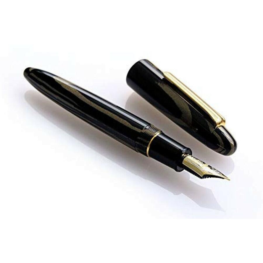 Sailor Fountain Pen King Profit Ebonite Fountain Pen Medium 11-7002-420