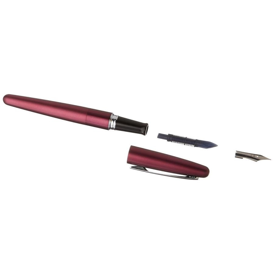 Pilot Fountain Pen Cocoon Bordeaux Fine Point FCO-3SR-BO-F