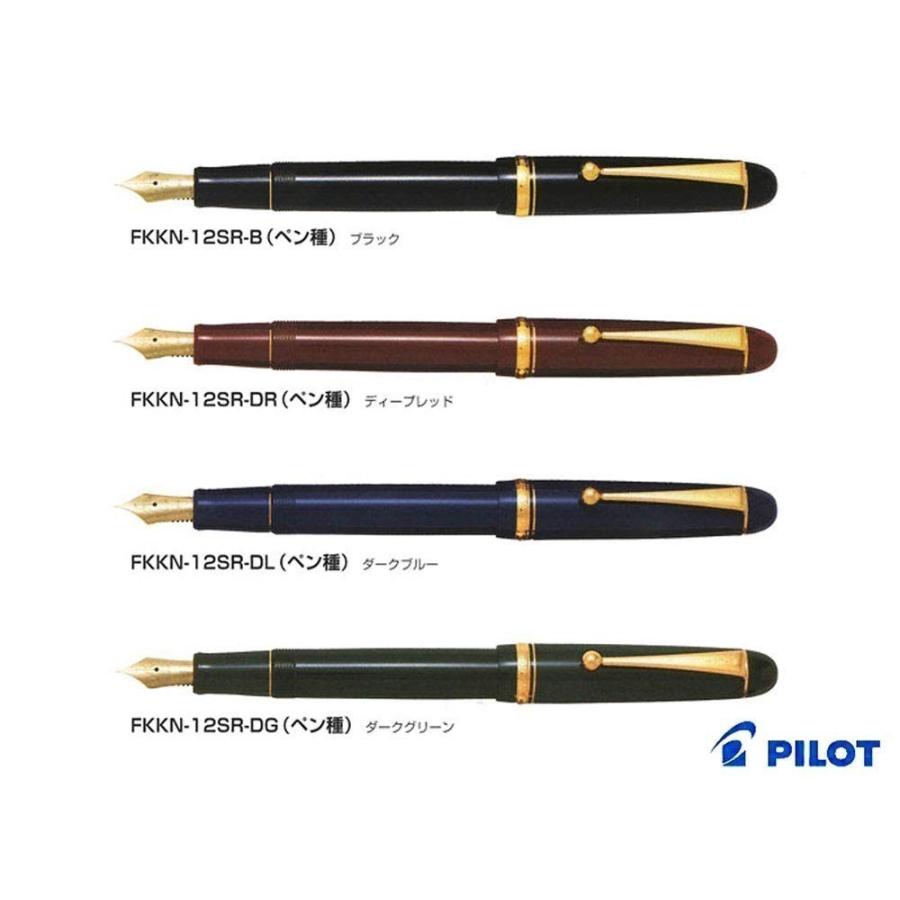 Pilot Fountain Pen Custom 74 Black Bold FKKN-12SR-BB