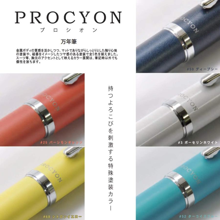 Platinum Fountain Pen Procyon Shadow Mica Fine Point PNS-5000#1-2