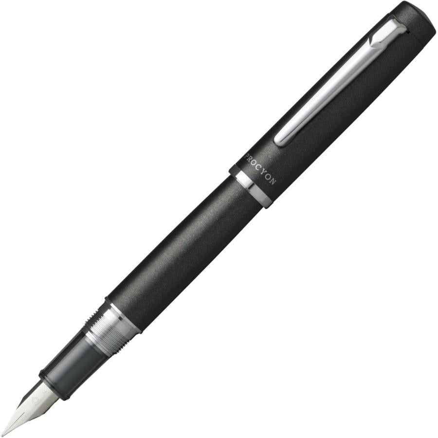 Platinum Fountain Pen Procyon Shadow Mica Fine Point PNS-5000#1-2