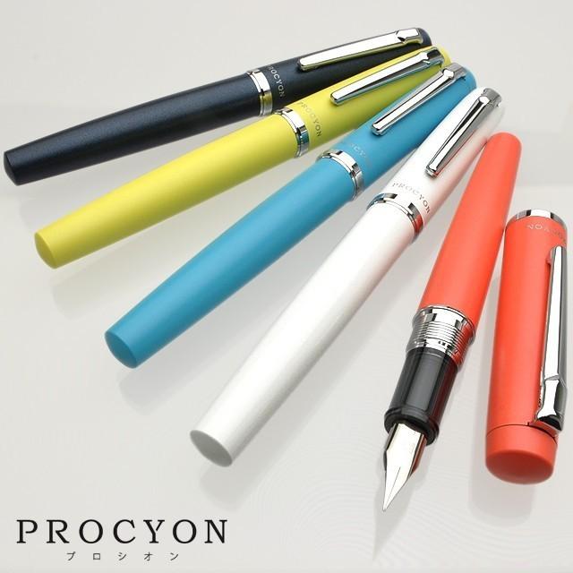 Platinum Fountain Pen Procyon Persimmon Orange Fine Point PNS-5000#25-2