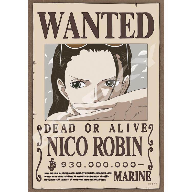 jigsaw-puzzle-archaeologist-child-of-the-devil-nico-robin-one-piece-208-pieces-1