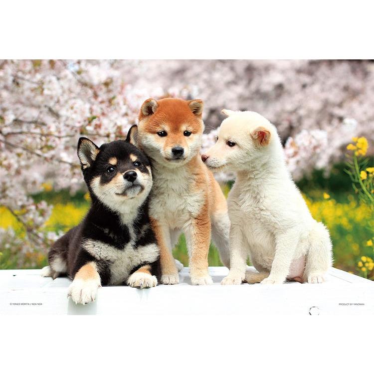 jigsaw-puzzle-friendly-friends-shiba-inu-300-pieces-yam-03-883-yanoman-1