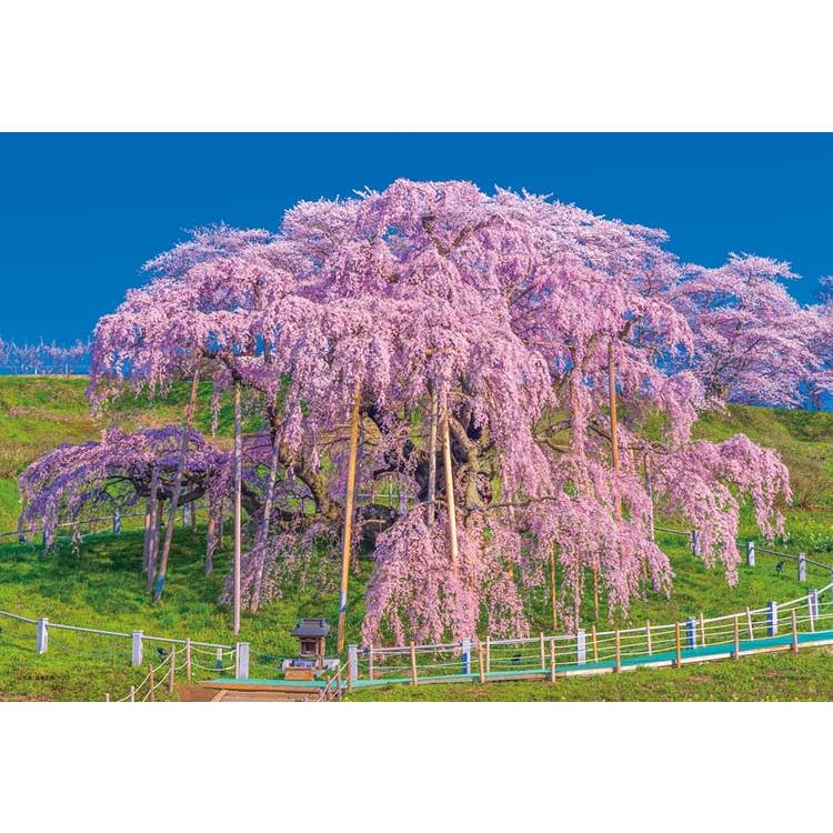 jigsaw-puzzle-blooming-miharu-taki-zakura-fukushima-300-pieces-yam-03-949-yanoman-1