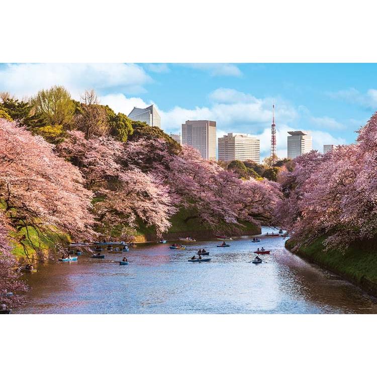 jigsaw-puzzle-chidorigafuchi-cherry-blossom-viewing-tokyo-1000-pieces-yam-10-1436-yanoman-1